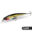 bionic bait prices 22