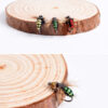 8PCS #12 Hot Sale Brass Bead Head Fast Sinking Nymph Scud Fly Bug Worm Trout Fishing Flies Artificial Insect Fishing Bait Lure 3