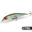 bionic bait prices 12