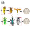 beetle spin replacement bodies 2