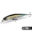 bionic bait prices 25