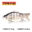 Bionic Lure Sink Shaker 38