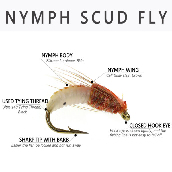 The nymph Scudidae is suitable for trout fishing with insect baits 3