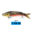 Sinking Wobblers Fishing Lures 7