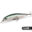 bionic bait prices 17