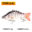 Bionic Lure Sink Shaker 49