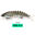 Sinking Wobblers Fishing Lures 55