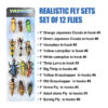 beetle spin replacement bodies 5