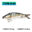 Bionic Lure Sink Shaker 13