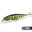 bionic bait prices 24