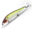 Top Fishing Lures Shakers 9