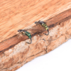 Fly Artificial Insect Bait Bait Set 2