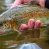 artificial fishing bait types 5