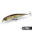 bionic bait prices 23