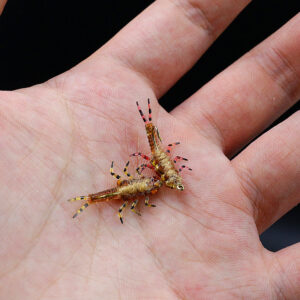 most realistic fishing lures