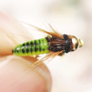 Realistic fairy flying caterpillar for trout fishing artificial insect bait