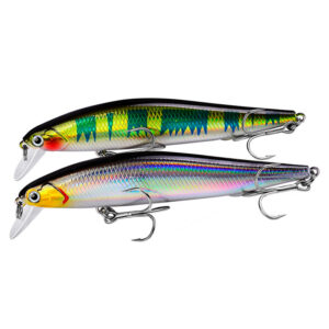 minnow bait bucket