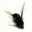 Bait #8 Black Hook Shiny Leather Material Bee Nymph Spinner 8