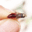 Realistic fairy flying caterpillar for trout fishing artificial insect bait 11