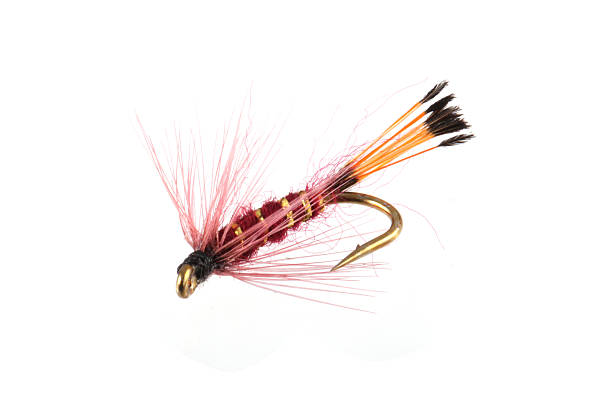 Handmade flies used by fishermen to attract trout and salmon by game fishermen.