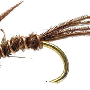 ?C Pheasant Tail Nymph 12 PC Assortment Dry Flies Nymphs Fly Fishing Flies Kit