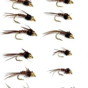?C Pheasant Tail Nymph 12 PC Assortment Dry Flies Nymphs Fly Fishing Flies Kit