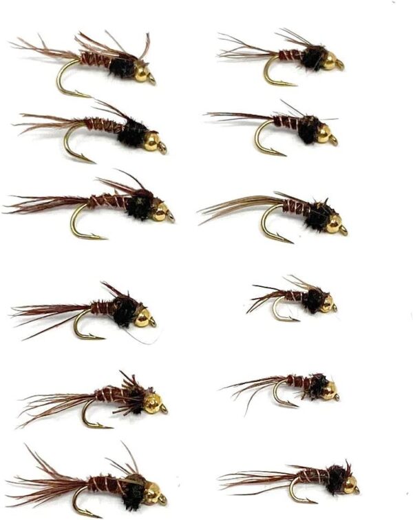?C Pheasant Tail Nymph 12 PC Assortment Dry Flies Nymphs Fly Fishing Flies Kit - Image 2