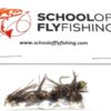 ?C Pheasant Tail Nymph 12 PC Assortment Dry Flies Nymphs Fly Fishing Flies Kit - Image 3