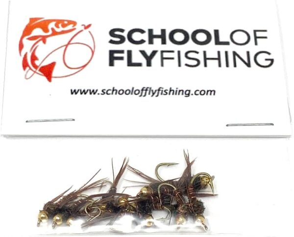 ?C Pheasant Tail Nymph 12 PC Assortment Dry Flies Nymphs Fly Fishing Flies Kit - Image 3