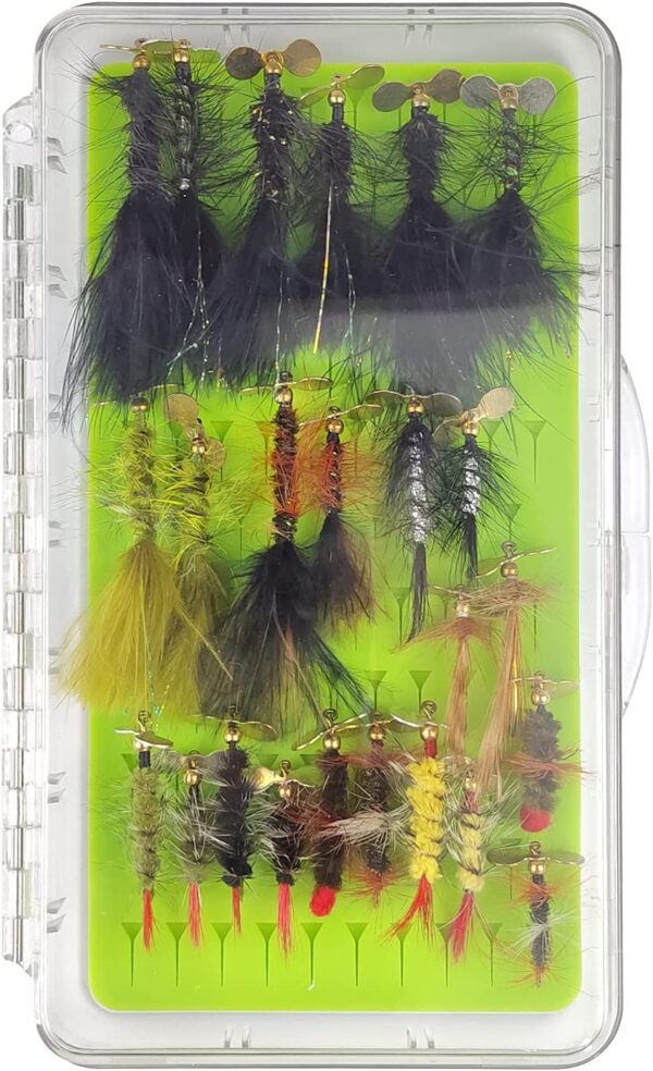 Best Assortment Flies Combo Carp Flies Wet T Dry Flies Nymphs Fly Fishing Flies Kit - Image 2