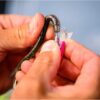 PowerBait? Minnow Fishing Artificial Bait Soft Plastic Lures - Image 3