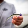 PowerBait? Minnow Fishing Artificial Bait Soft Plastic Lures - Image 5