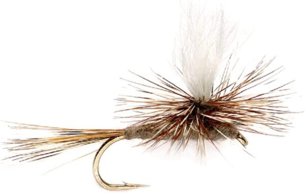 Trout Fly Starter Assortment Collection of Dry Flies Nymphs Fly Fishing Flies Kit - Image 3