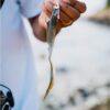 Gulp!? Nemesis Fishing Artificial Bait Soft Plastic Lures - Image 2