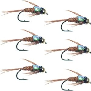 The Fly Fishing Place Bead Head Flash Back P Dry Flies Nymphs Fly Fishing Flies Kit