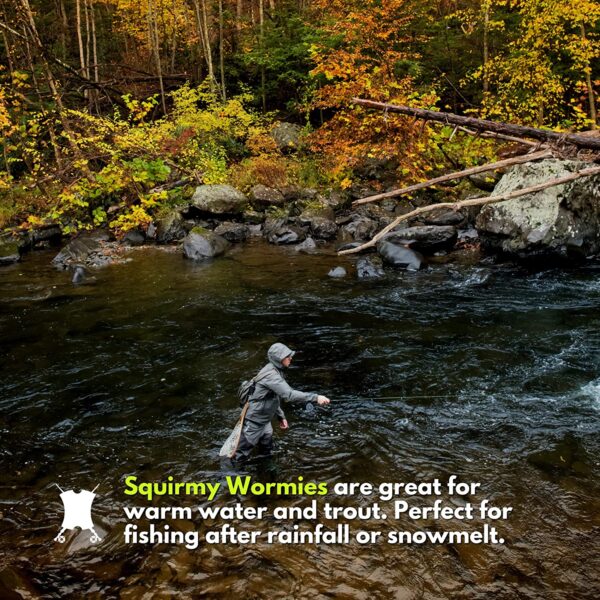 Improved San Juan Squirmy Wormy Trout Worm F Dry Flies Nymphs Fly Fishing Flies Kit - Image 5