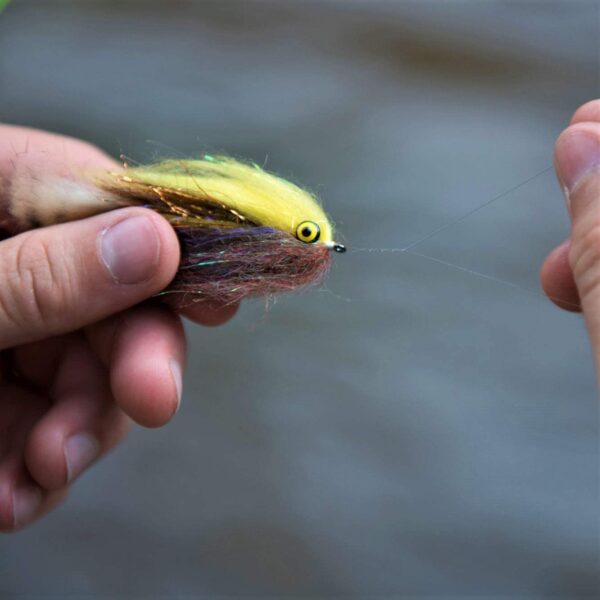 Lunchable Streamer Assortment Fly Fishing  Dry Flies Nymphs Fly Fishing Flies Kit - Image 3