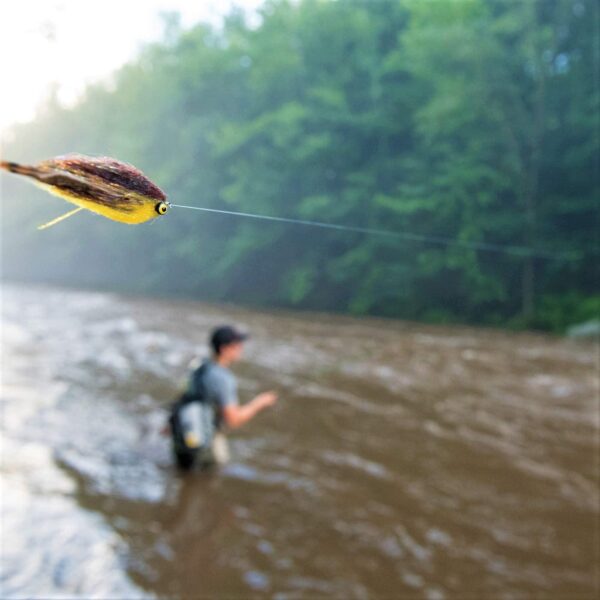 Lunchable Streamer Assortment Fly Fishing  Dry Flies Nymphs Fly Fishing Flies Kit - Image 4