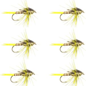 Fly Fishing Stonefly Flies Dry Flies Nymphs Fly Fishing Flies Kit
