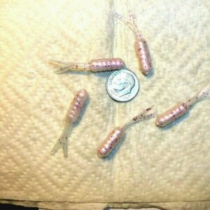 100-1 1/2 Crappie-BASS-PANFISH-Perch-Trout-G Fishing Artificial Bait Soft Plastic Lures”