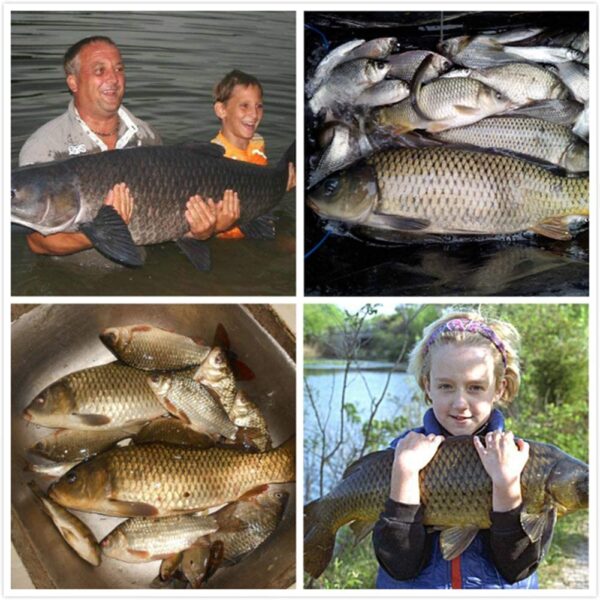1Pack River Ocean Angling Deal with Carp Fish Fishing Artificial Bait Soft Plastic Lures - Image 5