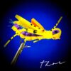 Indicator Foam Hopper 6 Pc Topwater Fly Fi Dry Flies Nymphs Fly Fishing Flies Kit - Image 4