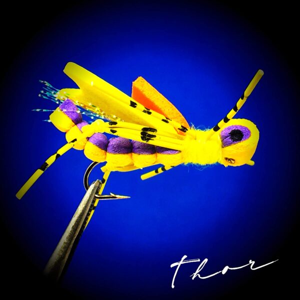 Indicator Foam Hopper 6 Pc Topwater Fly Fi Dry Flies Nymphs Fly Fishing Flies Kit - Image 4