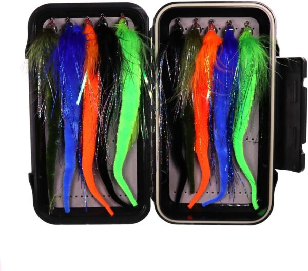 10pcs/Box Fly Fishing Flies Dragontail Fly C Dry Flies Nymphs Fly Fishing Flies Kit
