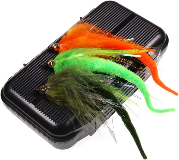 10pcs/Box Fly Fishing Flies Dragontail Fly C Dry Flies Nymphs Fly Fishing Flies Kit - Image 8