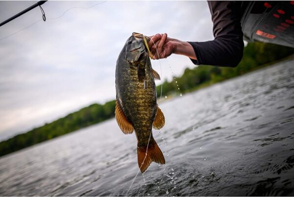 PowerBait Pro Twitchtail Minnow Pearl White   Fishing Artificial Bait Soft Plastic Lures - Image 3