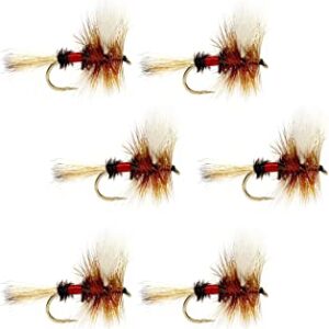 The Fly Fishing Place Royal Wulff Classic Tr Dry Flies Nymphs Fly Fishing Flies Kit