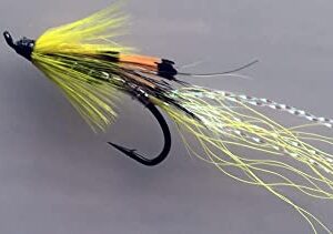 BestCity Fly Fishing Salmon Flies Allys Shri Dry Flies Nymphs Fly Fishing Flies Kit