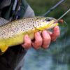 Fly Fishing Flies Kit 40pcs/76pcs/100pcs F Dry Flies Nymphs Fly Fishing Flies Kit - Image 6