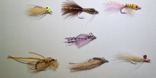 Bonefish Fly Fishing Kit 7 Flies Dry Flies Nymphs Fly Fishing Flies Kit